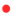 suspect indicator